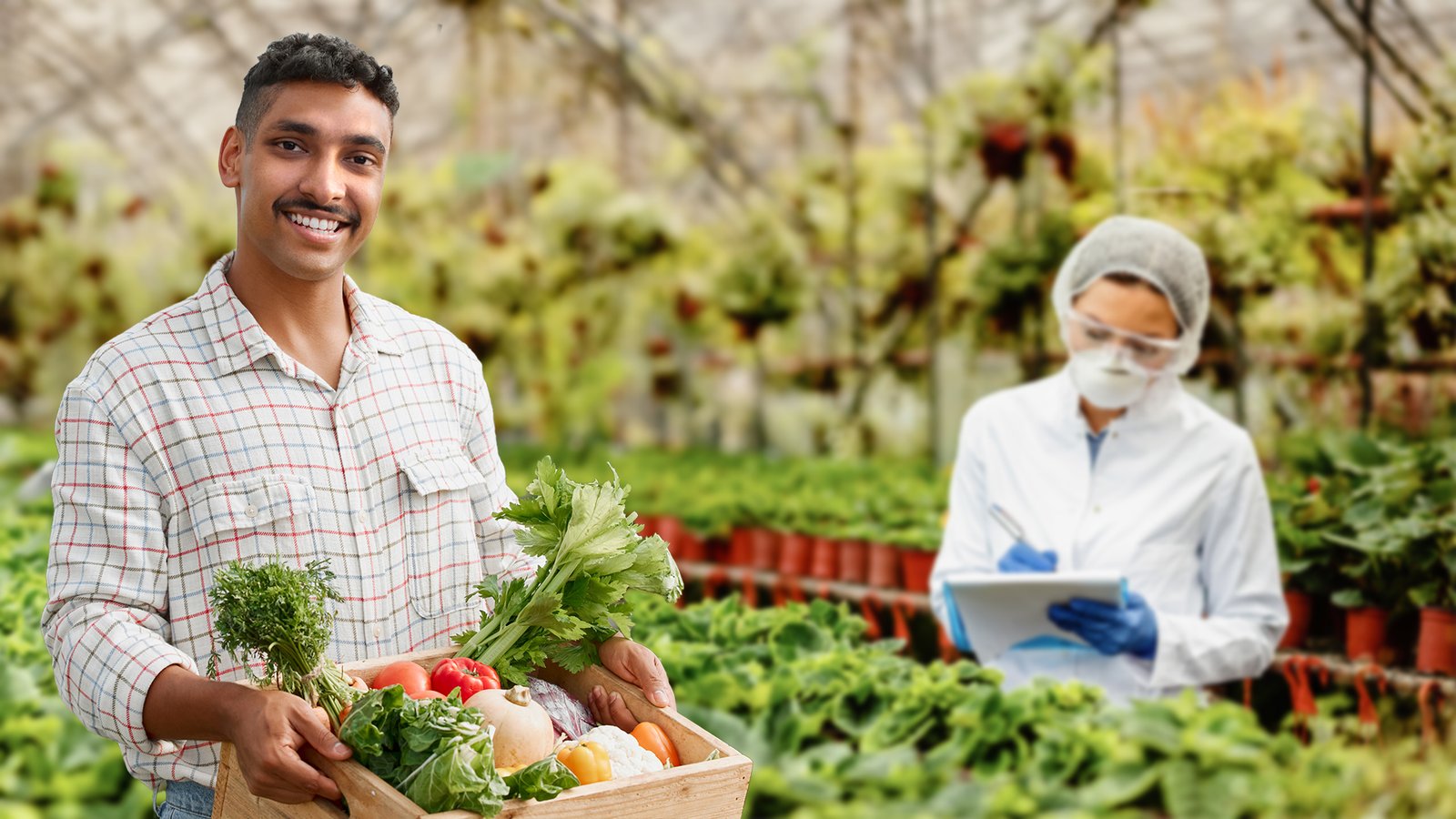 food_and_agriculture_img